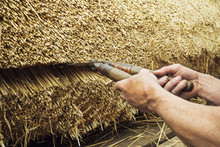 Close Up Of A Thatcher Trimming Straw Of A Thatched Roof With Shears.