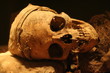 Real human ancient scull
