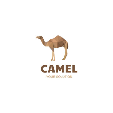 camel logo