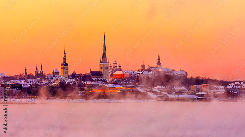 Obraz na płótnie view of Tallinn view of the Baltic Sea w salonie