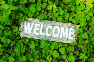 Wall Mural - Rustic wood welcome sign with green foliage background