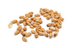 Fototapeta  - Wheat grain