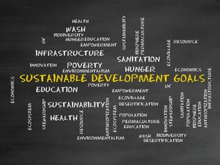 Canvas Print - Sustainable development goals