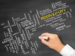 Canvas Print - Biodiversity