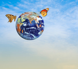 Wall Mural - Butterfly on planet Earth.Elements of this image furnished by NA