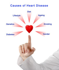 Sticker - Causes of Heart Disease