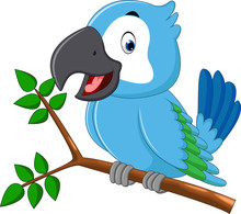Cartoon image of a macaw | Public domain vectors Cartoon image of a macaw | Public domain vectors