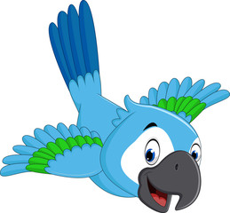 Poster - illustration of cute macaw cartoon