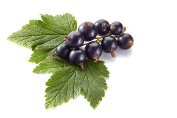 Wall Mural - Fresh black currant berries on white