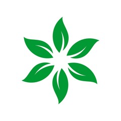 Wall Mural - leaf logo vector.