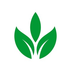 Wall Mural - leaf logo vector.