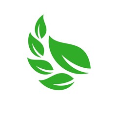 Wall Mural - leaf logo vector