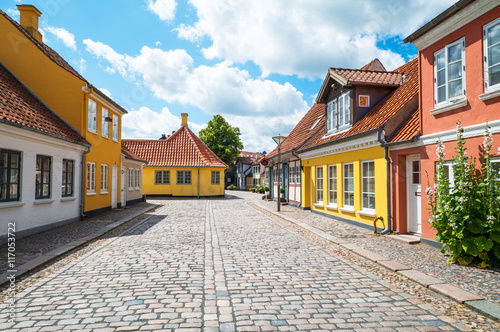 Denmark Canvas Print