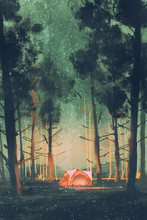 Camping In Forest At Night With Stars And Fireflies,illustration,digital Painting