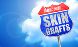 Fototapeta Las - skin grafts, 3D rendering, blue street sign