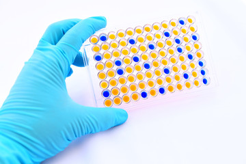 Enzyme-linked immunosorbent assay (ELISA) plate
