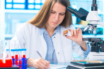 Wall Mural - Research GM in microbiological laboratory. Young woman researcher