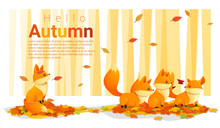 Hello Autumn Background With Foxes , Vector , Illustration