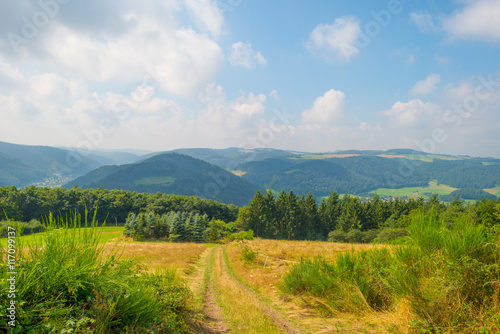 Fotografia Hills of the Eifel National Park in summer
