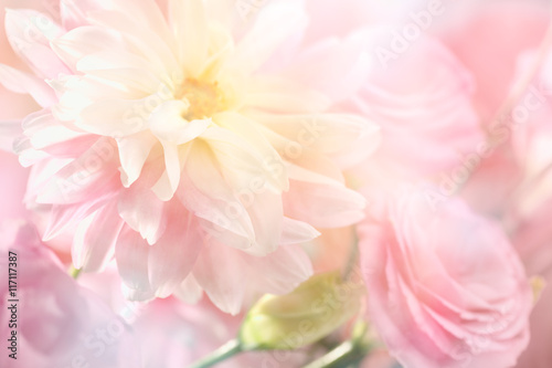 Pink peony flower background