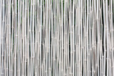 Fototapeta Sypialnia - White bamboo fence texture background