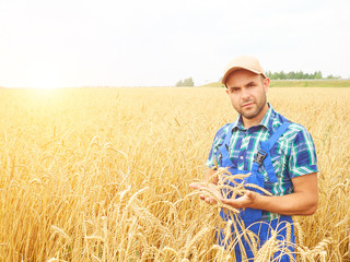 Farmer in a plaid shirt controlled his field.. Shows the wheat h