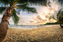 Tropischer Strand Bei Sonnenuntergang, Ein Paradies Mit Sand Und Palmen