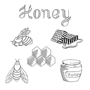 Honey bee set text graphic art black white isolated illustration vector