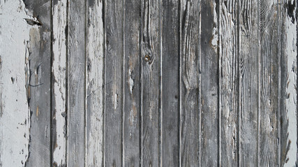 Wall Mural - White painted wood