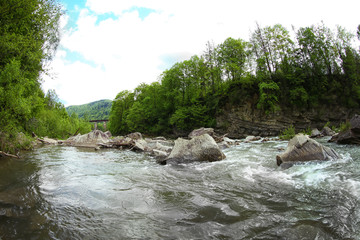 Poster - Magnificent mountain river, close up