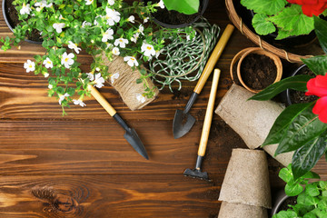 Sticker - Gardening tools and flowers on wooden background