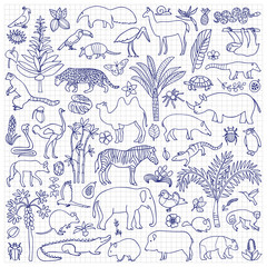 Doodle Tropic Animals