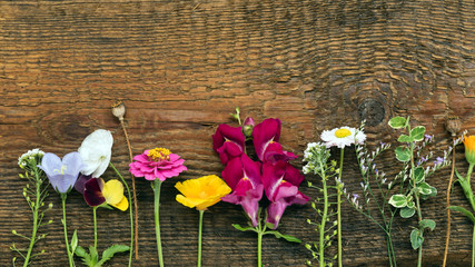 Canvas Print - summer flowers