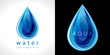 Water drop icon. The logotype for aqua protection or water delivery.