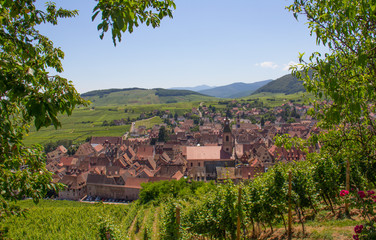 Wall Mural - Alsace village de Riquewihr
