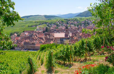 Wall Mural - Alsace village de Riquewihr
