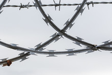 Pieces Of Razor Wire Fencing Free Stock Photo - Public Domain Pictures