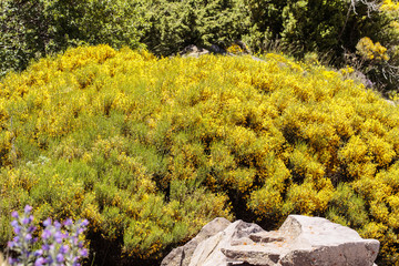 La Val d'Aran