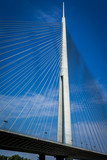 Fototapeta Mosty linowy / wiszący - A new bridge over the Sava River, Belgrade
