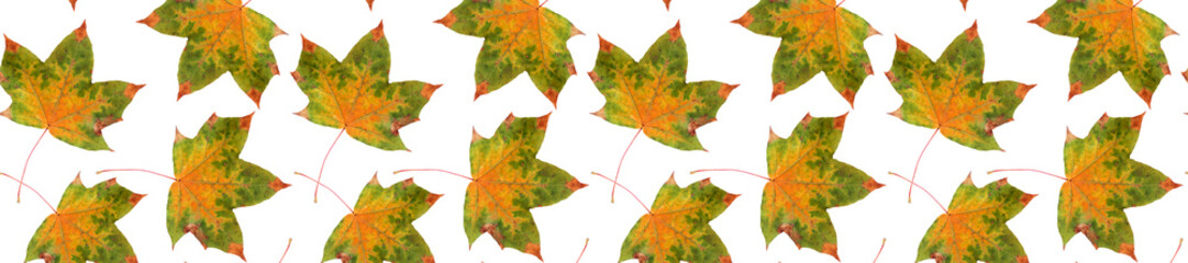 Wall Mural - pattern maple leaf yellow red autumn