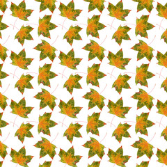 Wall Mural - pattern maple leaf yellow red autumn