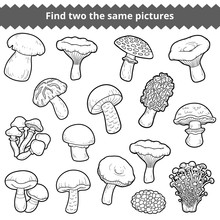 Find Two The Same Pictures, Set Of Mushrooms