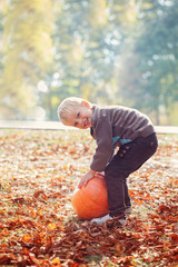 little adorable boy is hugging a huge pumpkin in autumn garden.
