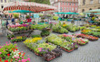 Square street market flower plant stand stall farmer town organic production Weimar Thuringia Germany