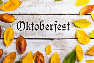 Oktoberfest sign and colorful autumn leaves. White wooden backgr