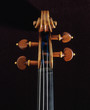 © Mittongtare - Close up of neck of stradivarius violin