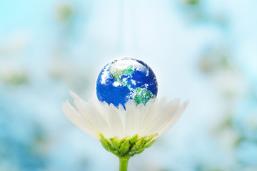 earth on white flower with blurred background, safe the earth with love concept, elements of this im