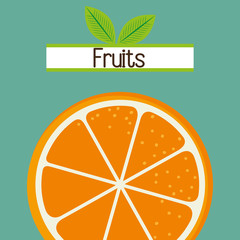 fruit fresh food icon