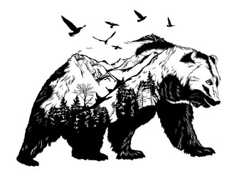hand drawn bear for your design, wildlife concept