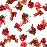 Fototapeta Mapy - Beautiful autumn background isolated berries viburnum 